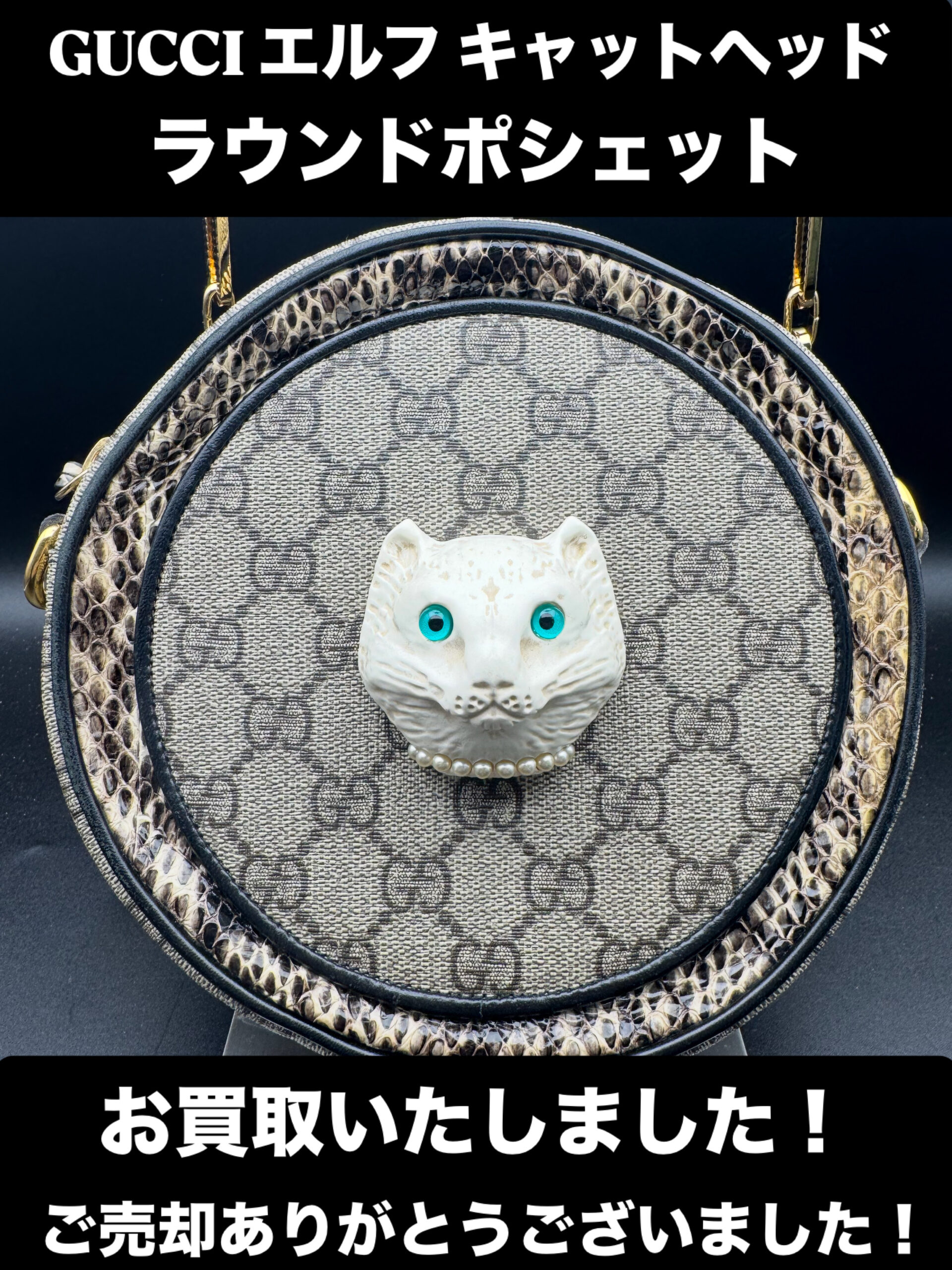 グッチ エルフ キャットヘッド ラウンドポシェット ベージュ／エボニー